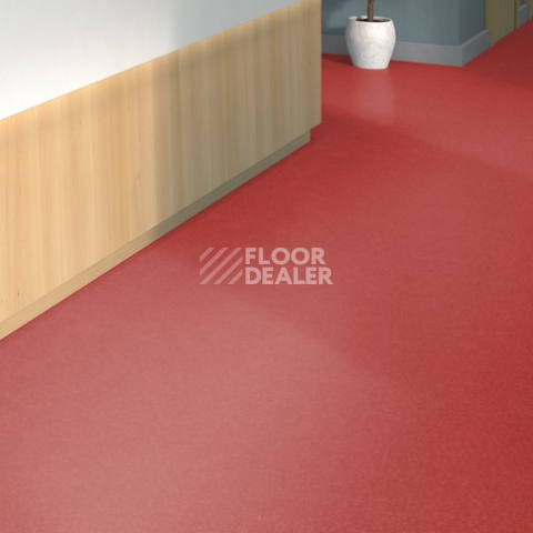 Tarkett iq Melodia 2634 фото 2 | FLOORDEALER